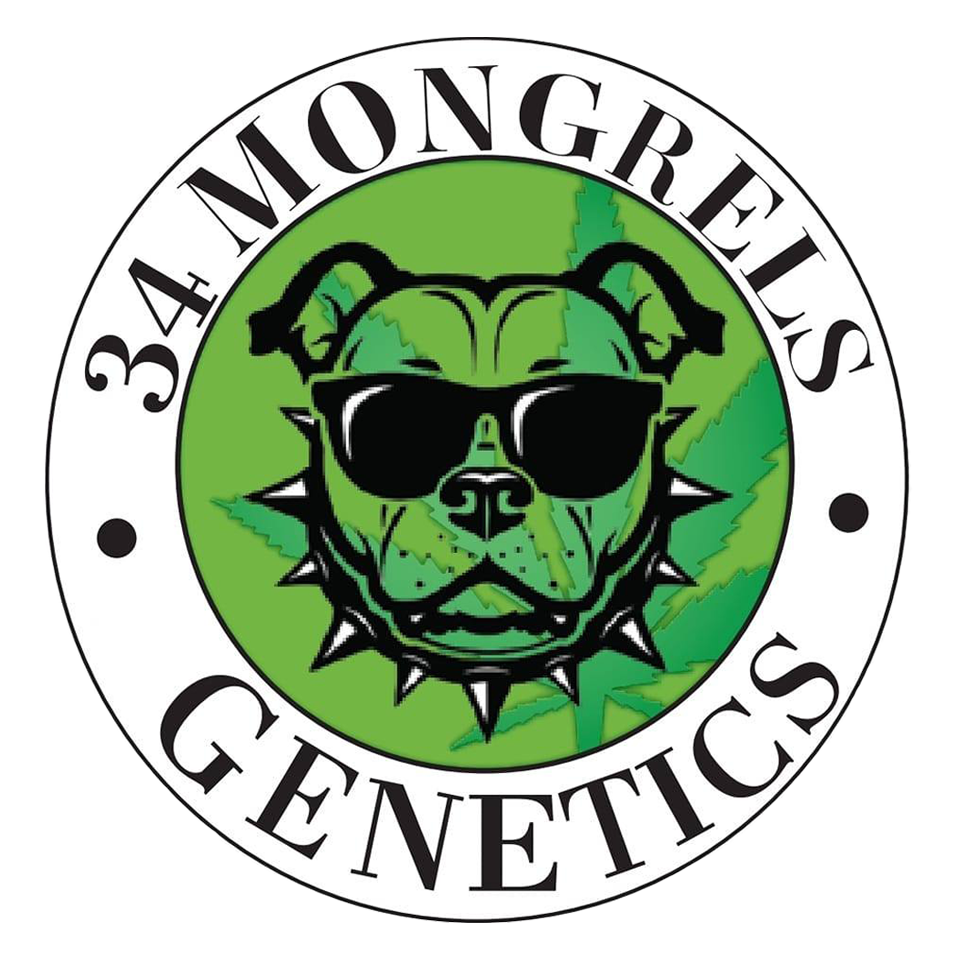 34-Mongrels-Genetics