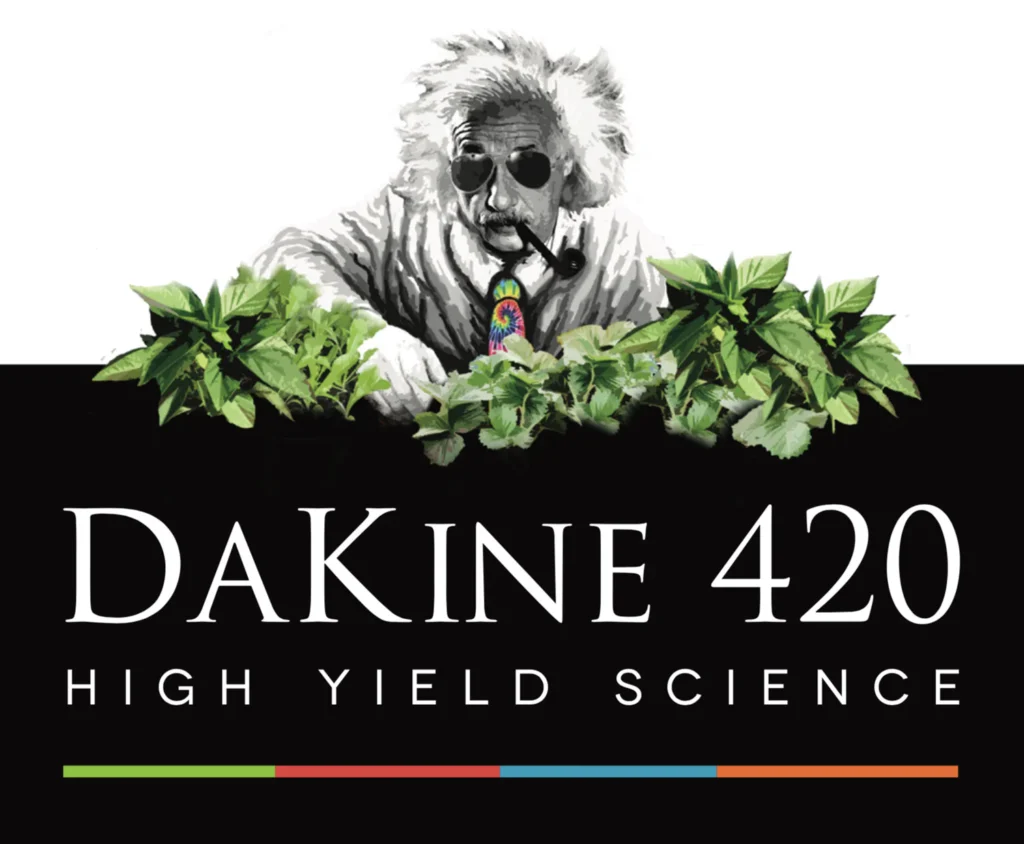 DaKine 420