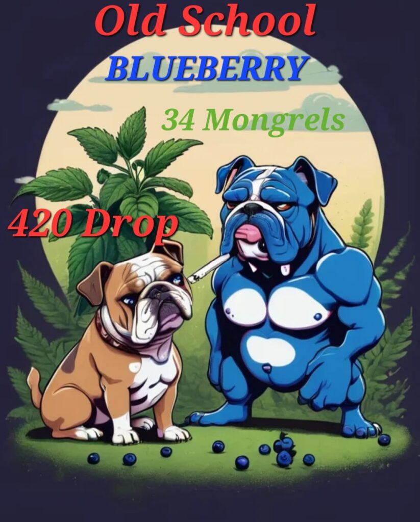 34 Mongrels Genetics