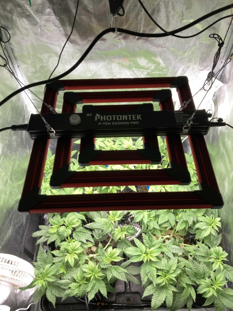 PhotonTek Lighting