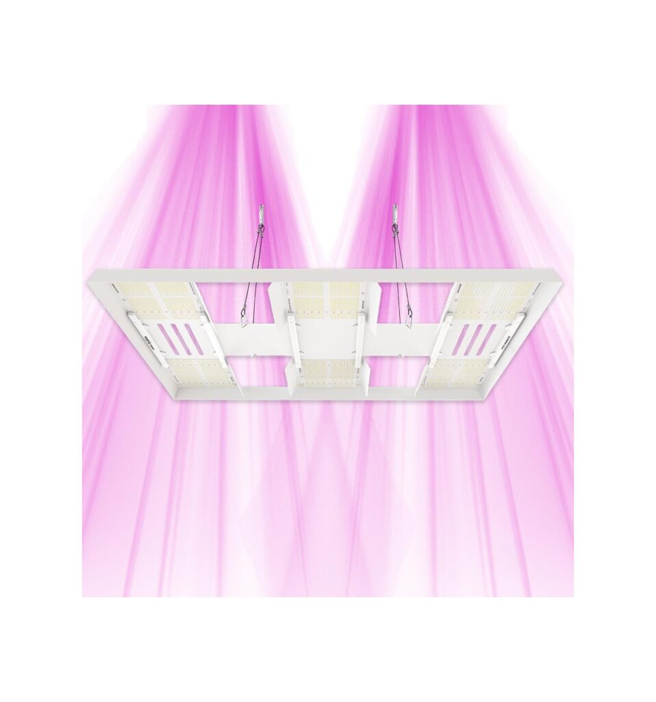 horticulture lighting group