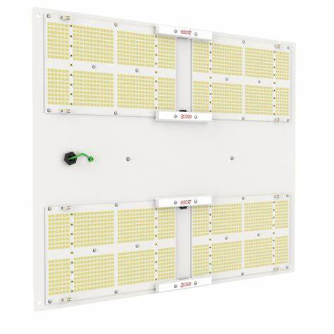horticulture lighting group